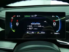 2023 BYD Qin PLUS Champion DM-i PHEV 55km Exceed — фото 14