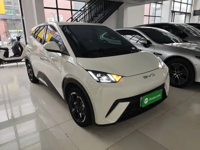 2023 BYD Seagull Flying