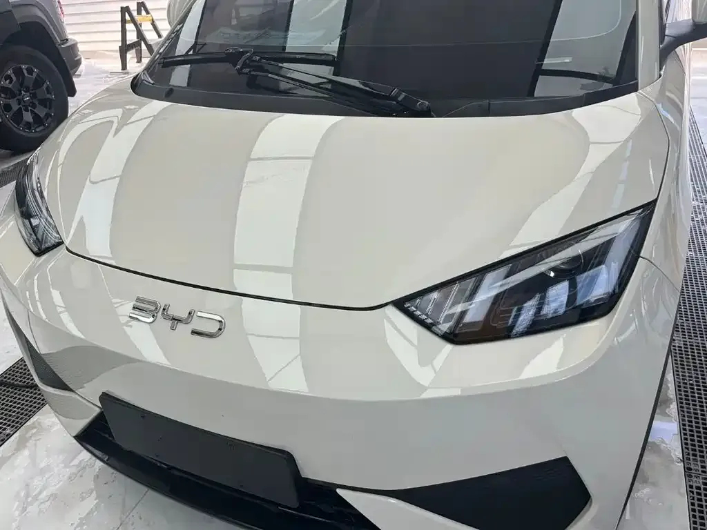 2025 BYD Seagull EV 305km