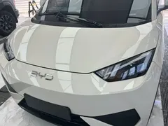2025 BYD Seagull EV 305km — фото 1