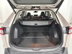 2021 Toyota Wildlander 2.0L CVT 2WD Luxury — фото 13
