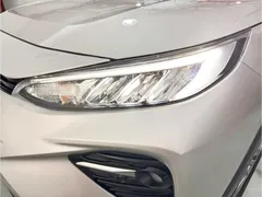 2021 Toyota Wildlander 2.0L CVT 2WD Luxury — фото 15