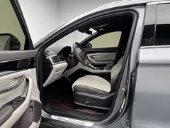 2025 BYD Song PLUS EV 520km Premium — фото 15