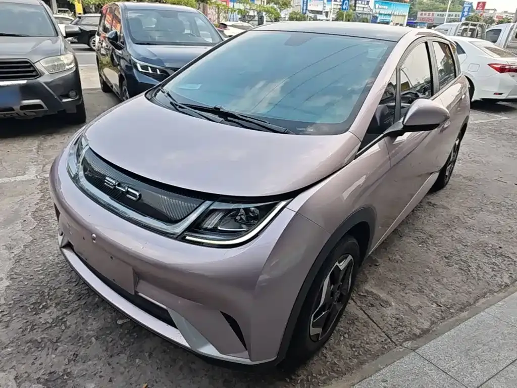 2021 BYD Dolphin 405km Fashion