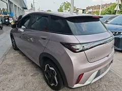 2021 BYD Dolphin 405km Fashion, чёрный — фото 5