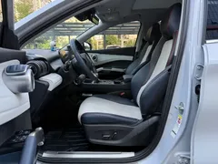2022 BYD Yuan PLUS EV 430km Premium — фото 14