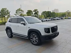 2021 Haval Dargo 2.0T DCT 2WD, белый — фото 3