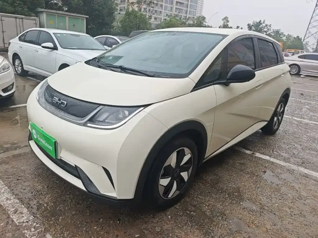 2025 BYD Dolphin 420km Freedom