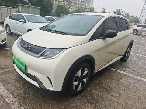 2025 BYD Dolphin 420km Freedom