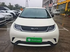 2025 BYD Dolphin 420km Freedom, белый — фото 3