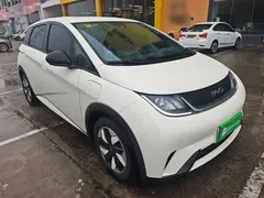 2025 BYD Dolphin 420km Freedom, белый — фото 4