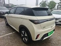 2025 BYD Dolphin 420km Freedom, белый — фото 5