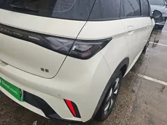2025 BYD Dolphin 420km Freedom, белый — фото 8