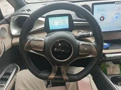 2025 BYD Dolphin 420km Freedom, белый — фото 11