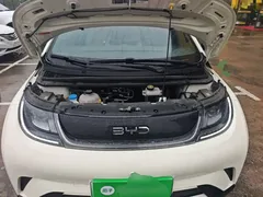 2025 BYD Dolphin 420km Freedom, белый — фото 20