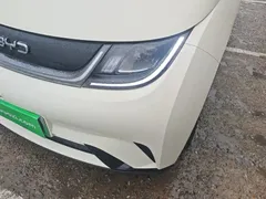 2025 BYD Dolphin 420km Freedom, белый — фото 24