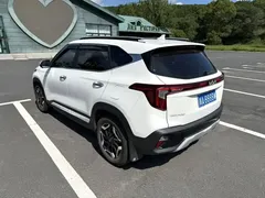 2023 Kia Seltos 1.5L CVT Premium, белый — фото 13