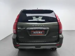 2020 Haval H9 2.0T Petrol 4WD Premium 5 Seats, зелёный — фото 4