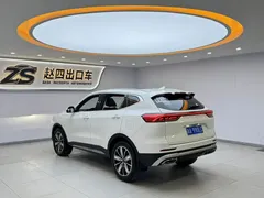 2023 Haval H6 1.5T AT Guochao Champion, белый — фото 4