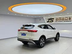 2023 Haval H6 1.5T AT Guochao Champion, белый — фото 6
