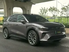 2026 Zeekr 7X EV 103kWh RWD MAX — фото 9