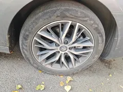 2023 BYD Qin PLUS Champion EV 510km Leading — фото 6