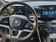 2023 BYD Qin PLUS Champion EV 510km Leading — фото 12