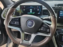 2023 BYD Qin PLUS Champion EV 510km Leading — фото 15