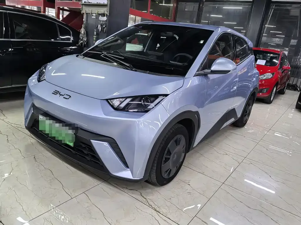 2024 BYD Seagull Honor 305km Vitality