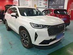 2022 Haval H6 3rd Gen 1.5T AT 2WD Max, белый — фото 4