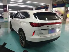 2022 Haval H6 3rd Gen 1.5T AT 2WD Max, белый — фото 5