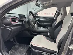 2023 BYD Destroyer 05 Champion DM-i PHEV 55km Luxury — фото 6