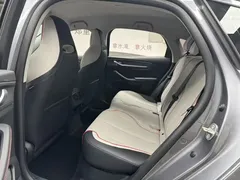 2023 BYD Destroyer 05 Champion DM-i PHEV 55km Luxury — фото 11