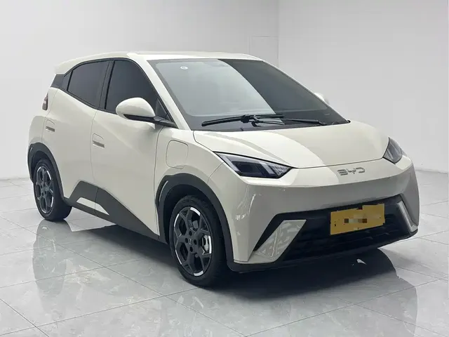 2025 BYD Seagull EV 405km Flying