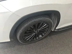 2020 Lexus RX 300 2WD Elite, белый — фото 23