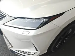2020 Lexus RX 300 2WD Elite, белый — фото 24