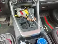 2022 Toyota Wildlander 2.0L CVT 2WD Luxury Plus, белый — фото 16