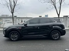 2023 Hongqi HS5 2.0T Qiyue Pro, чёрный — фото 19