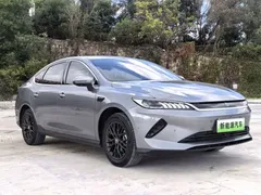 2025 BYD Qin PLUS EV 510km Smart Driving Leading — фото 1