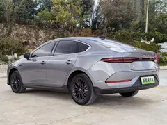 2025 BYD Qin PLUS EV 510km Smart Driving Leading — фото 9