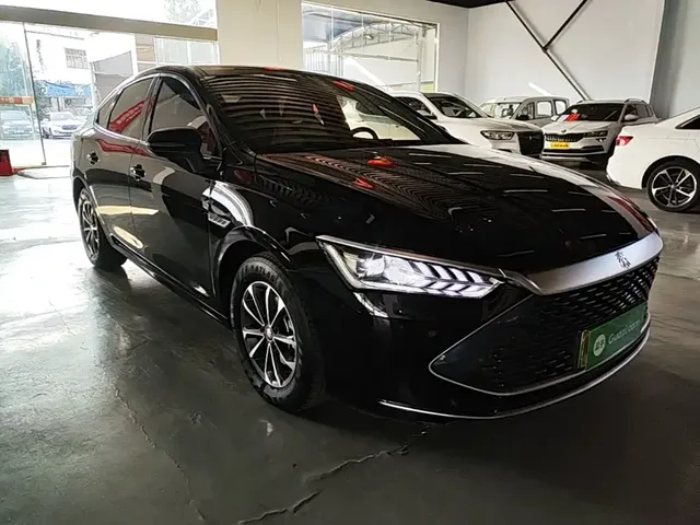 2024 BYD Qin PLUS Honor DM-i PHEV 55km Leading