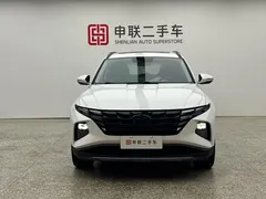 2021 Hyundai Tucson L 1.5T DCT LUX Premium, белый — фото 5