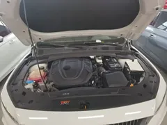 2021 Geely Preface 2.0TD Luxury, белый — фото 20