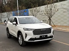 2021 Haval H6 1.5GDIT AT City, белый — фото 3