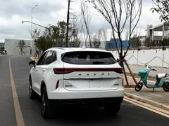 2021 Haval H6 1.5GDIT AT City, белый — фото 13