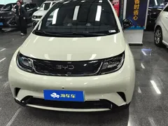 2024 BYD Dolphin Honor 420km Fashion — фото 2
