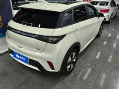 2024 BYD Dolphin Honor 420km Fashion — фото 3