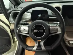 2024 BYD Dolphin Honor 420km Fashion — фото 15