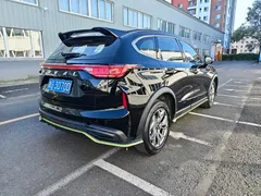 2022 Haval Chitu 1.5T, чёрный — фото 10