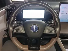2023 BYD Song Pro DM-i PHEV 110KM Champion, синий — фото 11